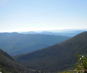 The Appalachian Trail with Whoopie Cat