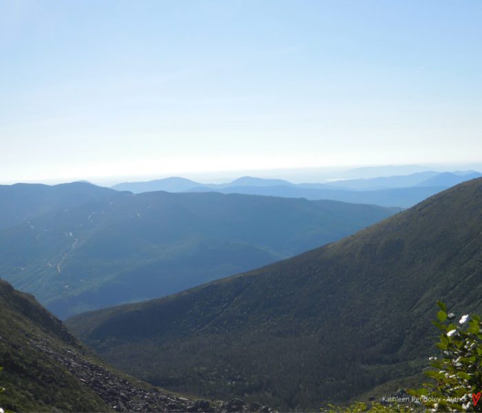 The Appalachian Trail with Whoopie Cat