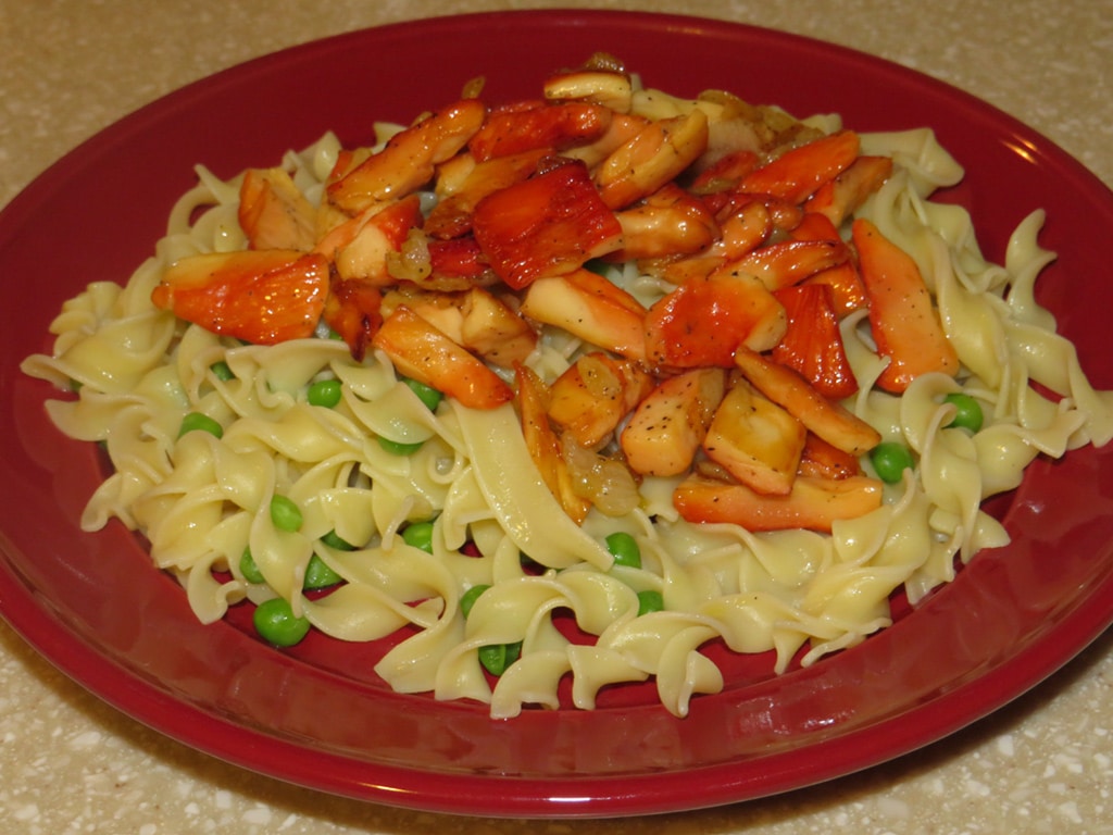 Author Kathleen Pendoley Observations - Moonshine's Mushrooms recipe