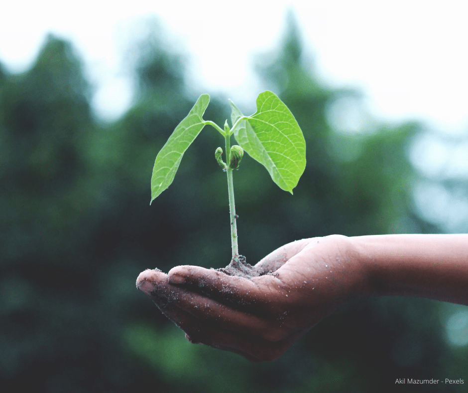 Nothing in the world can take the place of persistence