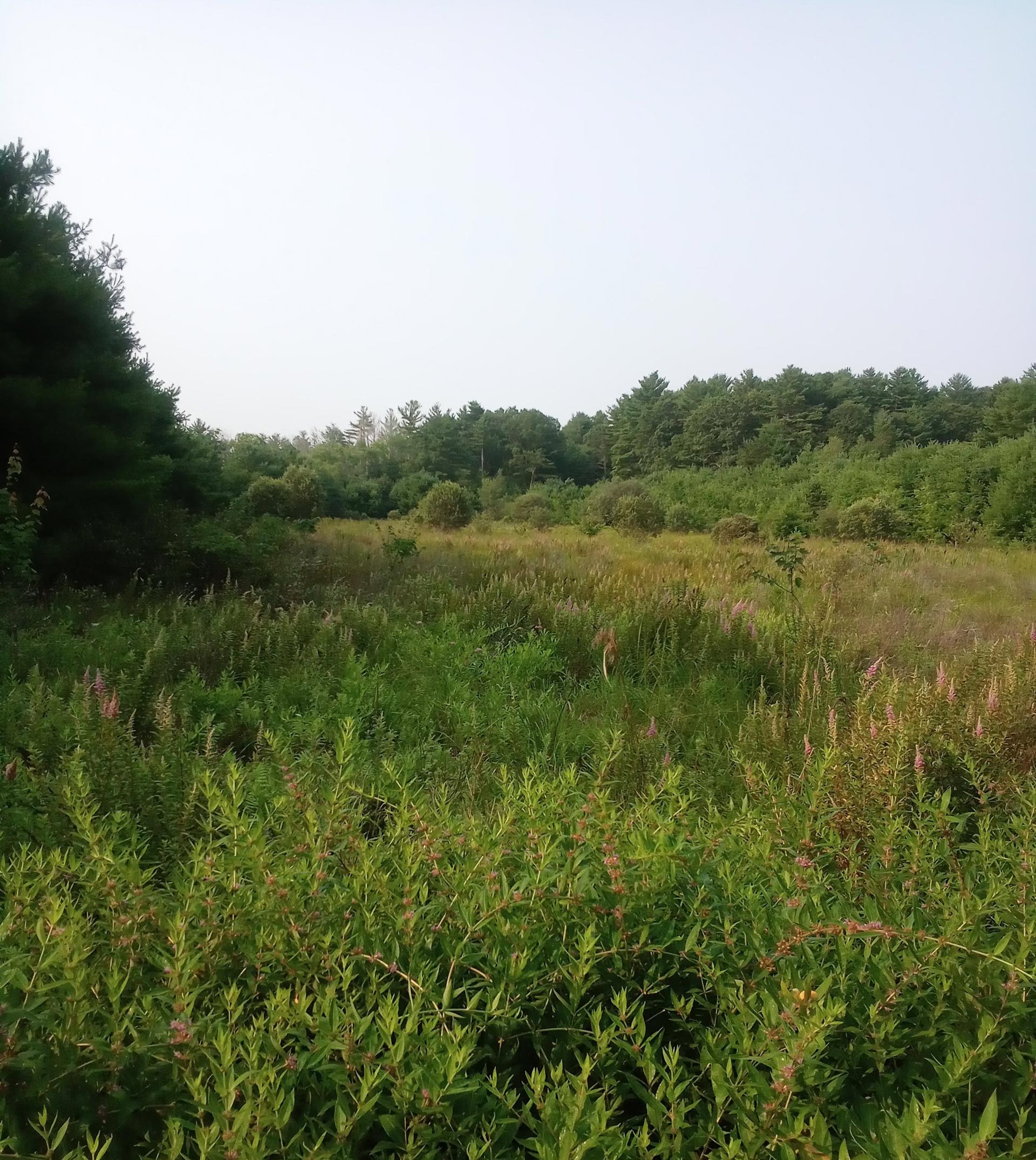 Kathleen Pendoley - take a hike on your summer break