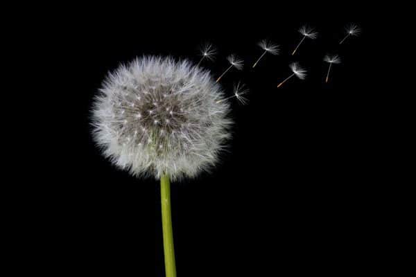 herbert-goetsch-SGKQh9wNgAk-unsplash