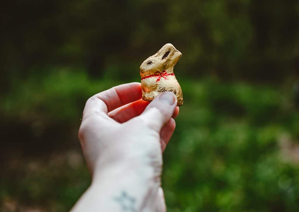nik-oFE6X_HtqV8-unsplash