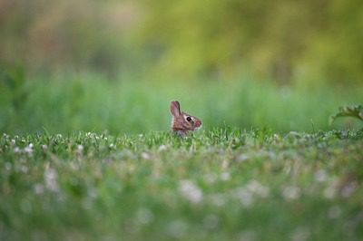 wei-fukuyama-NxDQ5c0m2ac-unsplash
