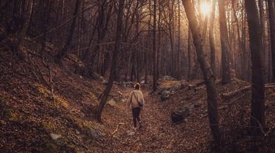 cristina-gottardi-p5JVzahHku0-unsplash