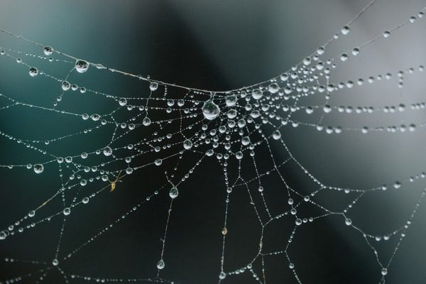 nathan-dumlao-kME9jbKd--s-unsplash