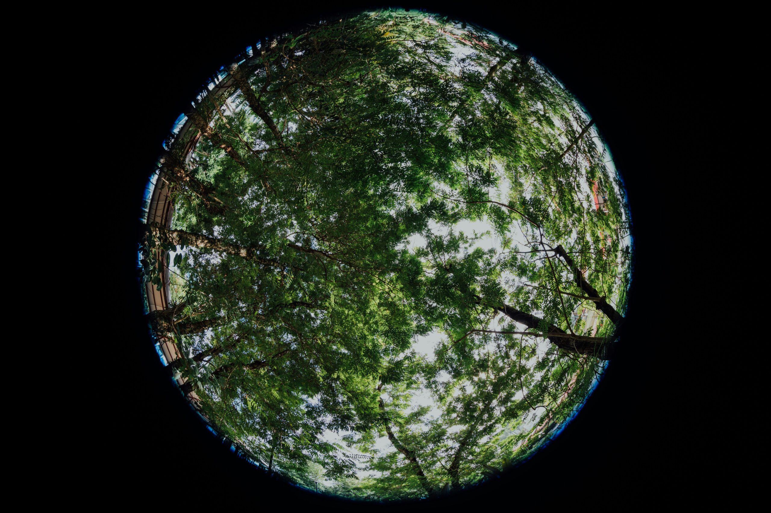 chuttersnap-Zv-BvRaCJ0w-unsplash
