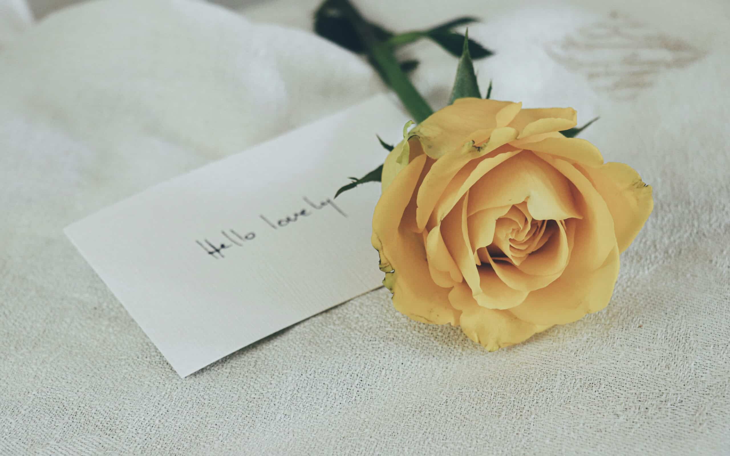 debby-hudson-4TIxt74y6wY-unsplash
