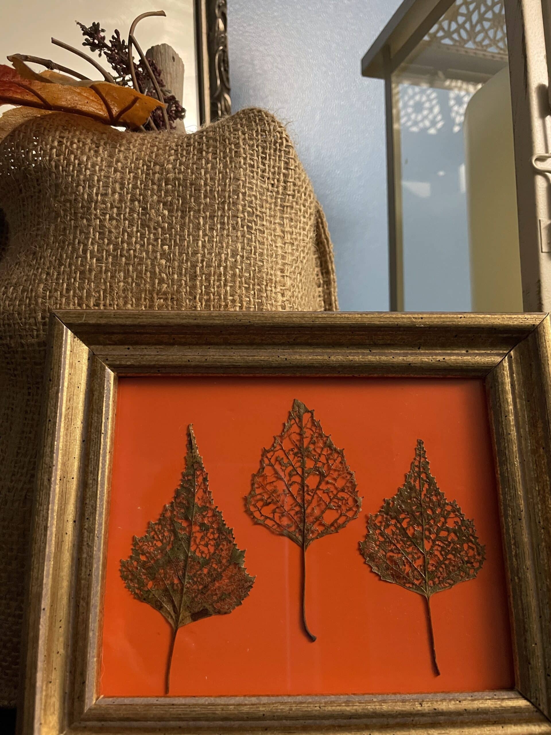lace pattern leaves
