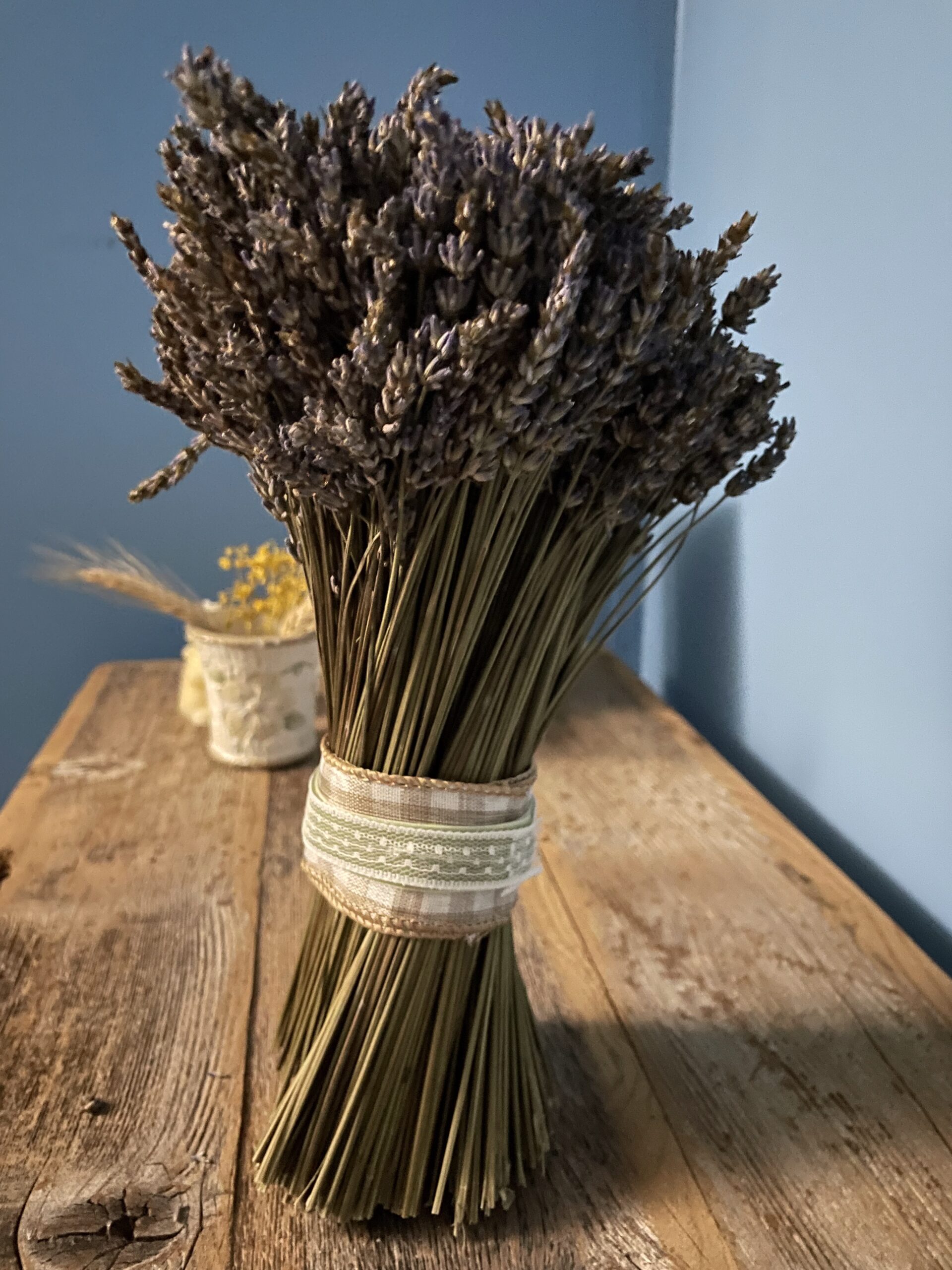lavendar
